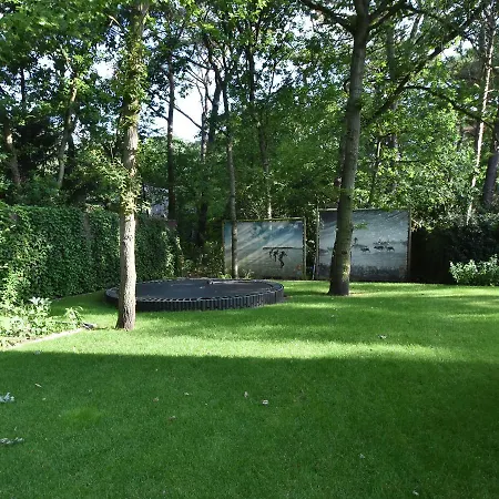 Modern In North Holland With Terrace Villa