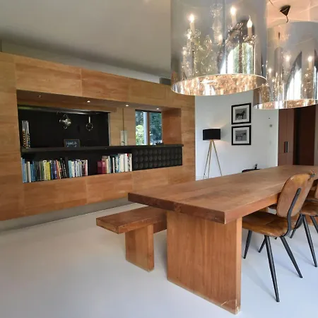 Villa Modern In North Holland With Terrace *