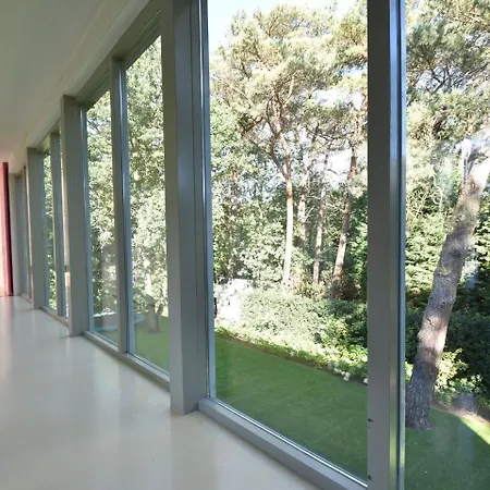 Modern In North Holland With Terrace *